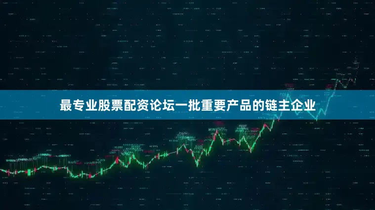 最专业股票配资论坛一批重要产品的链主企业