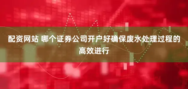 配资网站 哪个证券公司开户好确保废水处理过程的高效进行